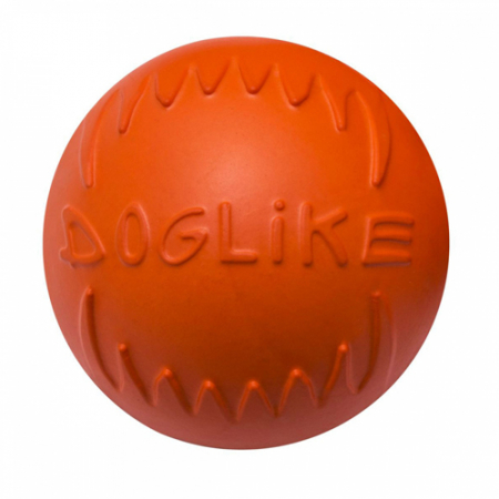 dog12